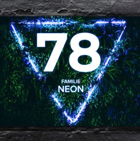 NEON triangle Naambord